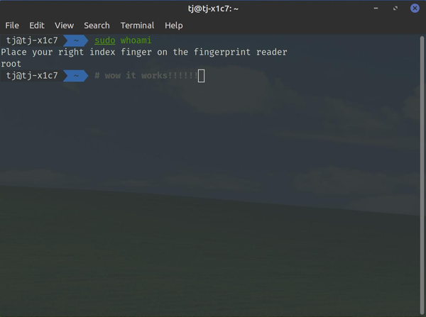 Linux Fingerprint Authentication on ThinkPads